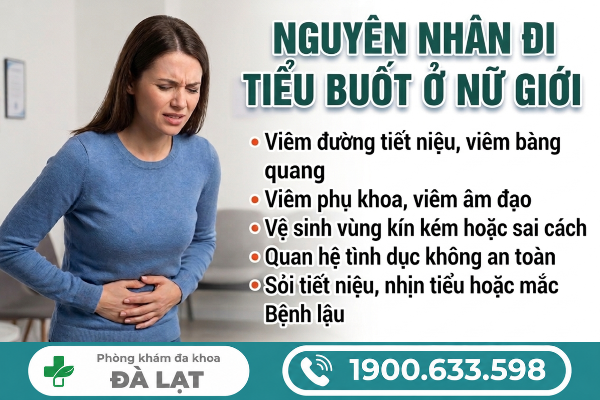 Hình ảnh minh họa